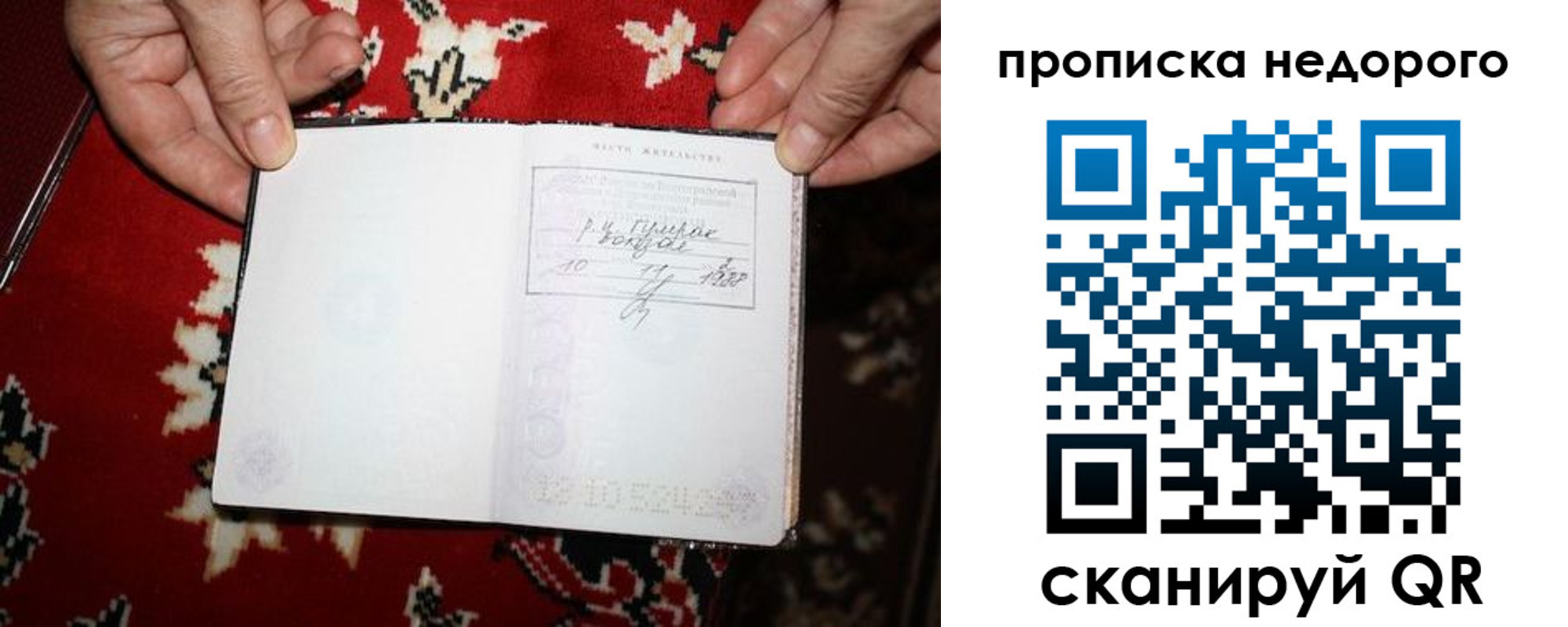 прописка гарантия в Пугачёве